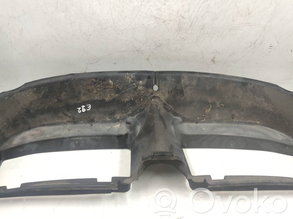 BMW 3 E92 E93 Radiatoriaus oro nukreipėjas (-ai) 