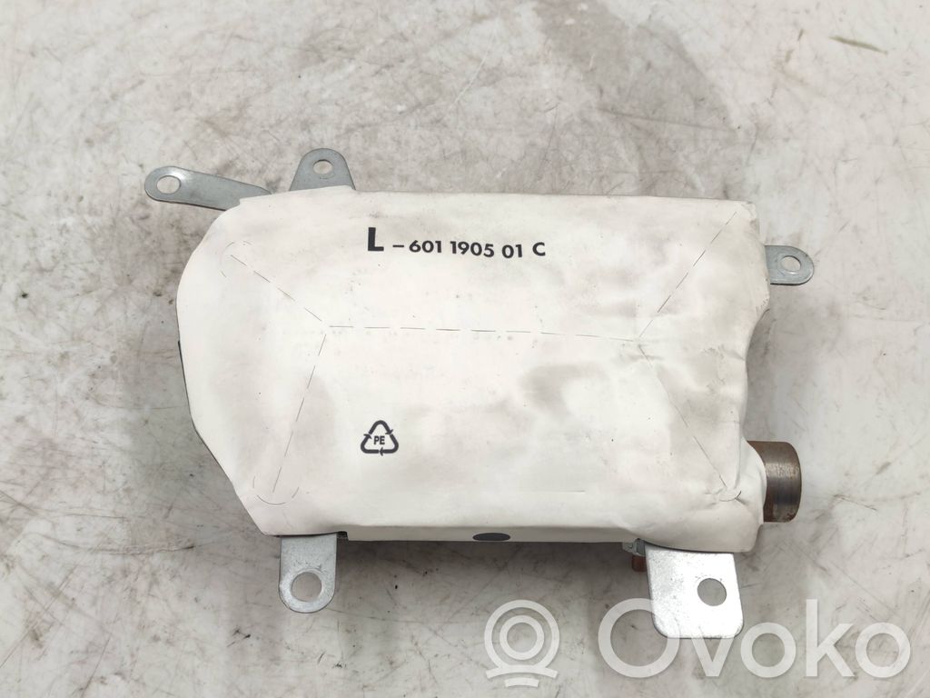 Front door airbag   6011904