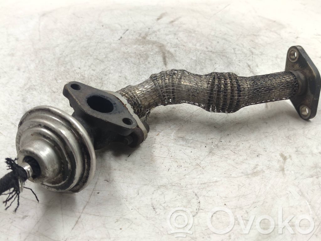 Válvula EGR   02813150