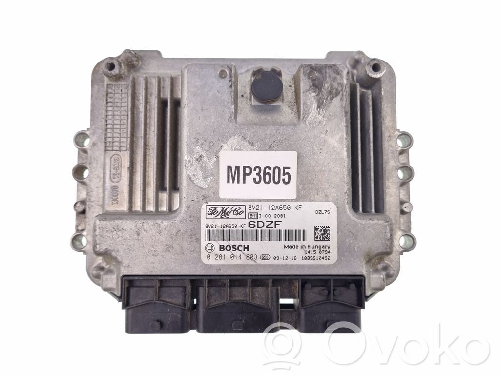 Ford Fiesta Engine control unit/module 