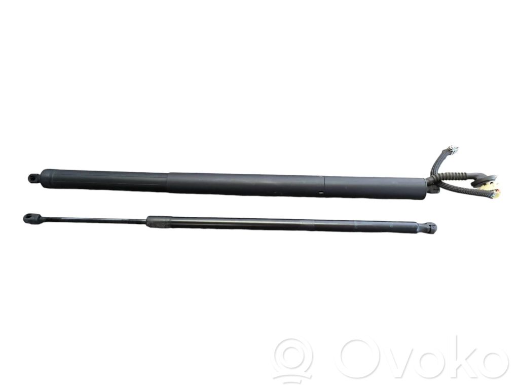 Chrysler Pacifica Tailgate/trunk/boot lift motor 