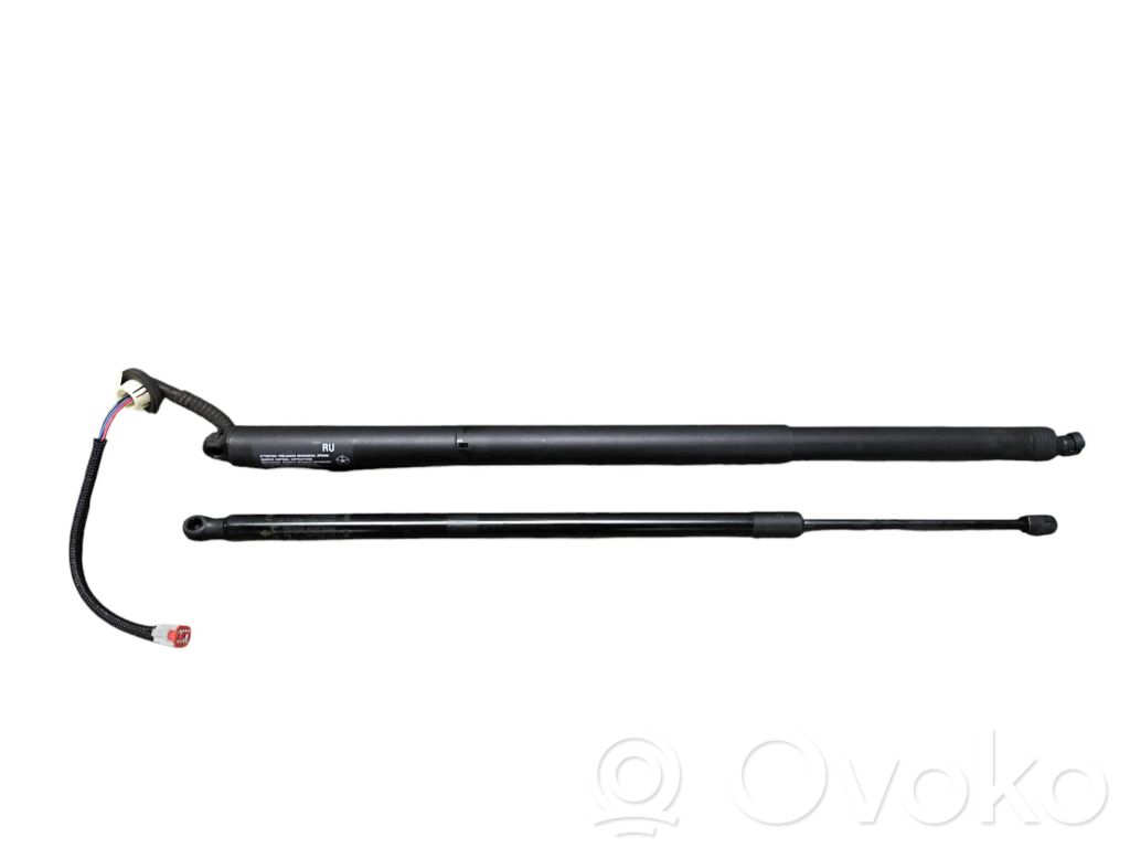 Chrysler Pacifica Tailgate/trunk/boot lift motor 