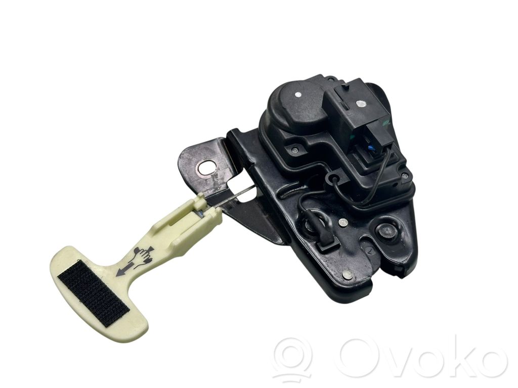 Loading door lock   22186268AF
