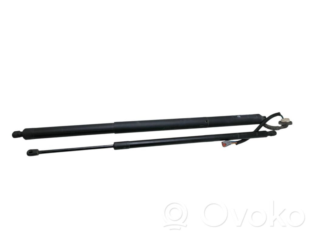 Chrysler Pacifica Tailgate/trunk/boot lift motor 