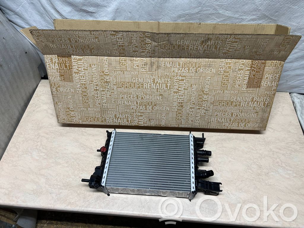 Radiador intercooler   214106421R,132431,LE958003