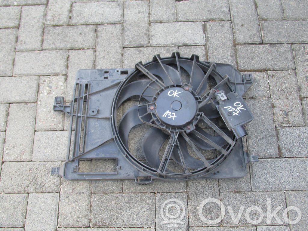 Fan set   DV618C607AB,C9G4A