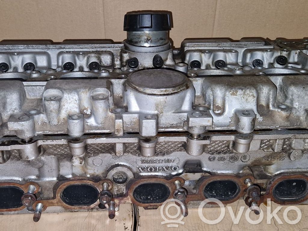 Engine head   1001837007