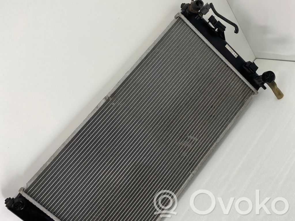 Nissan Leaf I (ZE0) Radiator lichid răcire 