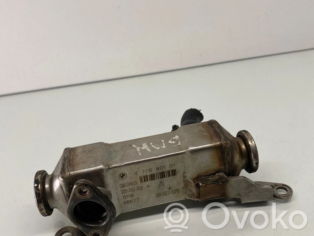 BMW 3 E46 EGR aušintuvas 