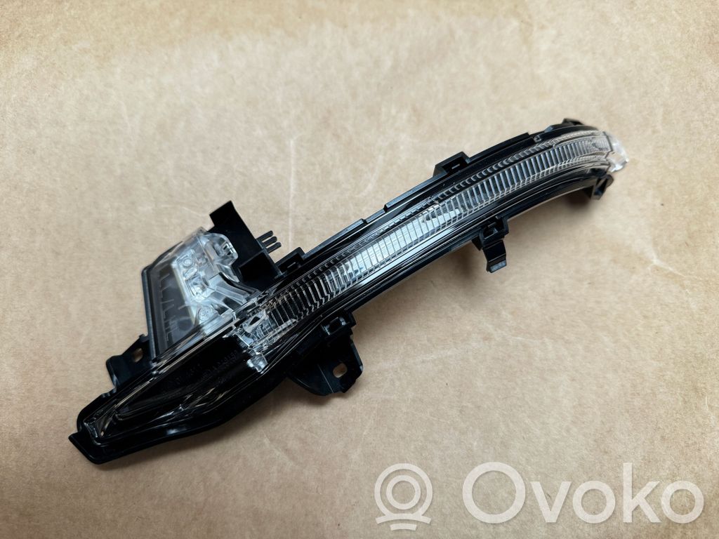 Audi RS6 C8 Spiegelblinker 