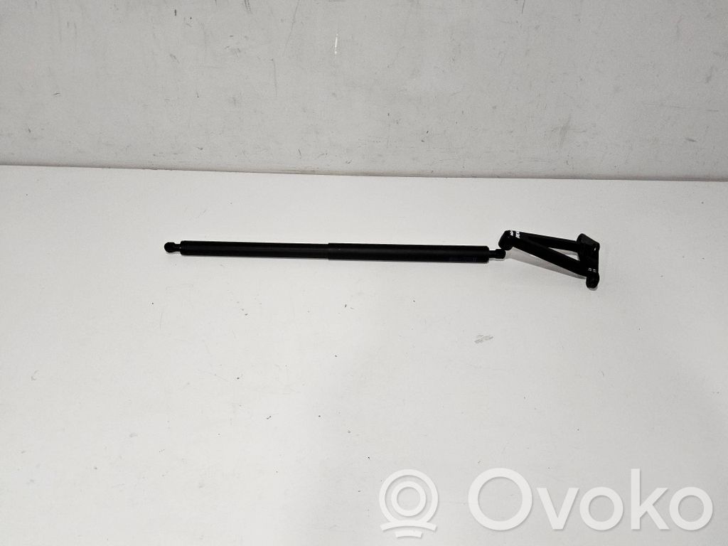 Chevrolet Corvette C8 Tailgate/trunk strut/damper 