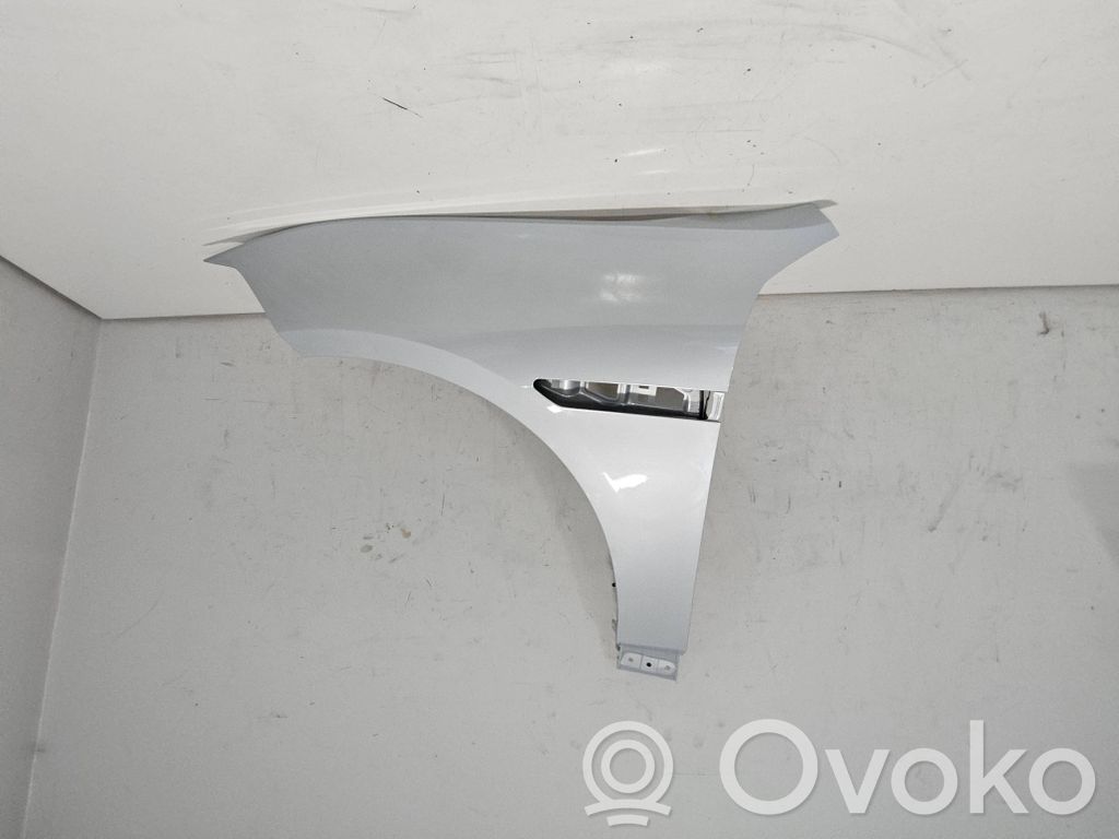 Polestar 4 Guardabarro 