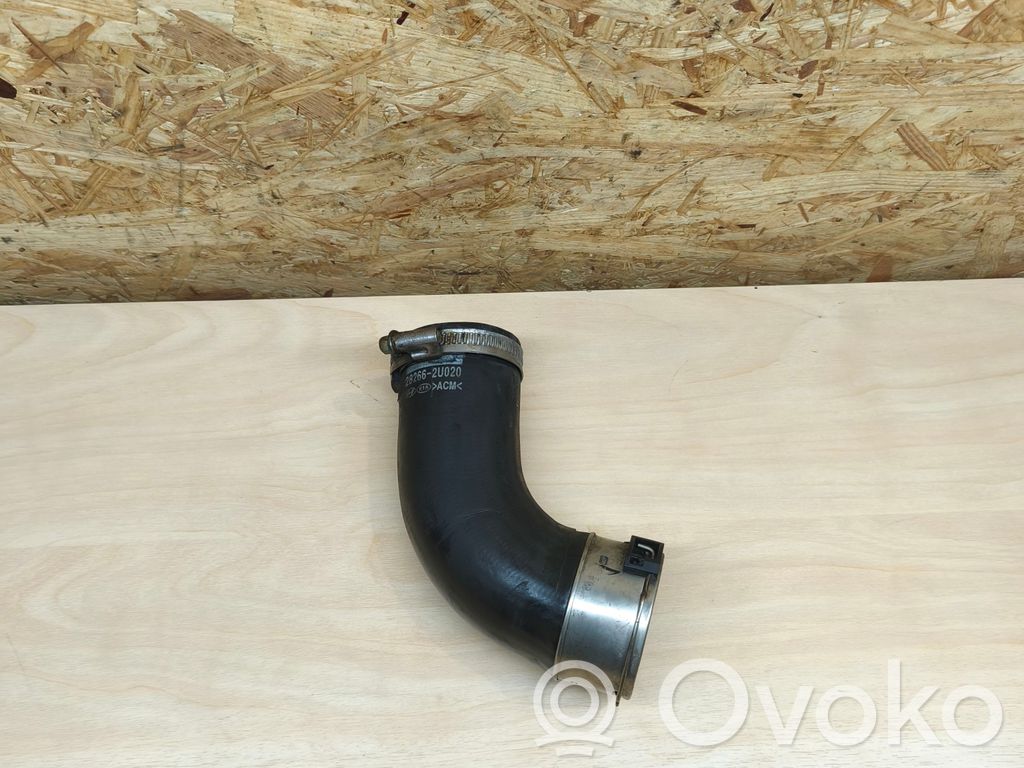 Wąż / Rura intercoolera   282662U020