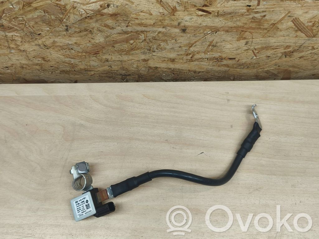 Hyundai Ioniq 5 Cable negativo de tierra (batería) 