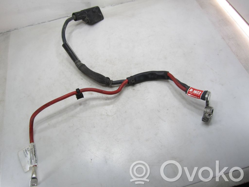 Volkswagen PASSAT B8 Pliusinis laidas (akumuliatoriaus) 