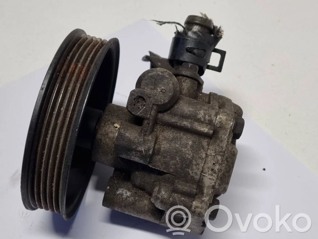 Power steering pump   46224
