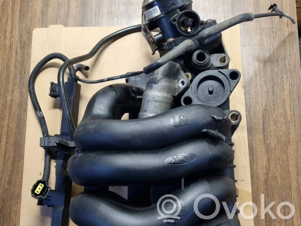 Ford Focus Kolektorius įsiurbimo 