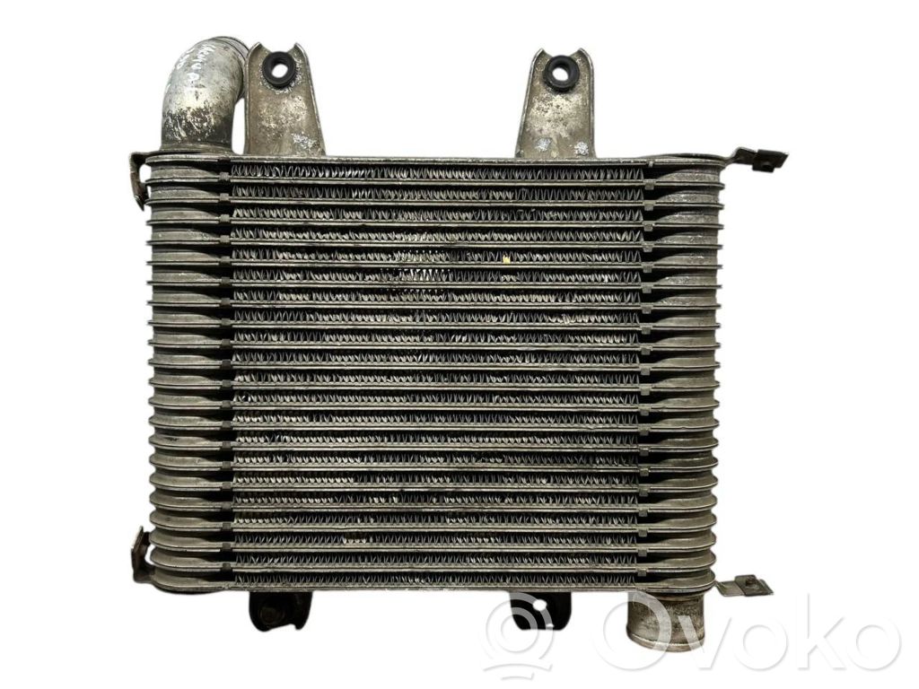 Radiador intercooler