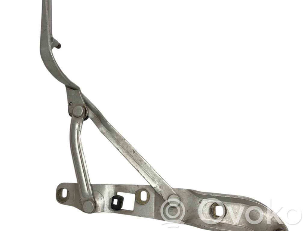 Tailgate/trunk/boot hinge   41518159398