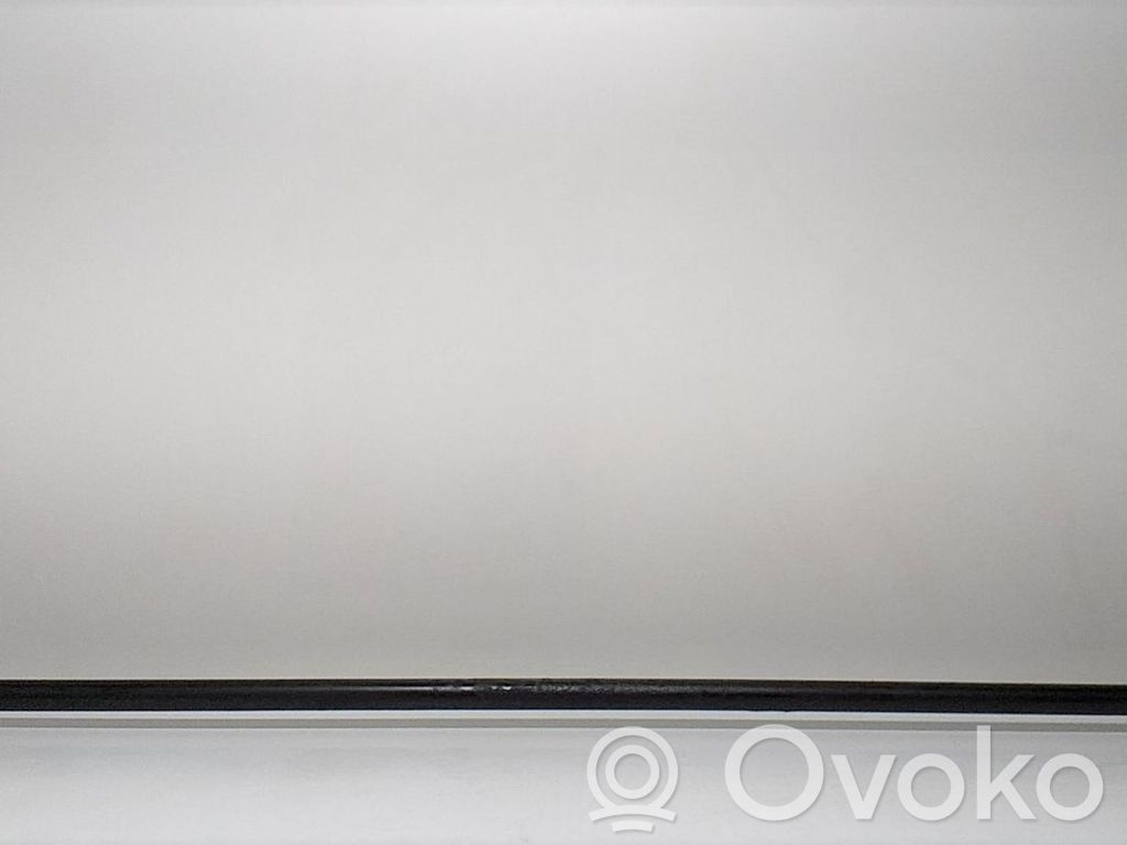 Mitsubishi Montero Aktyvus stabilizatorius 