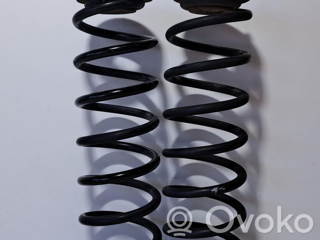 Front coil spring   DFS,76515