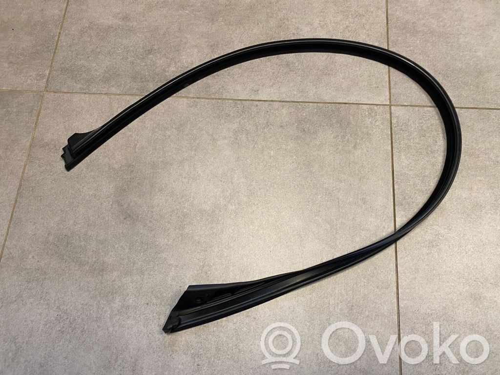 BMW X5 E70 Listwa / Uszczelka szyby drzwi przednich 