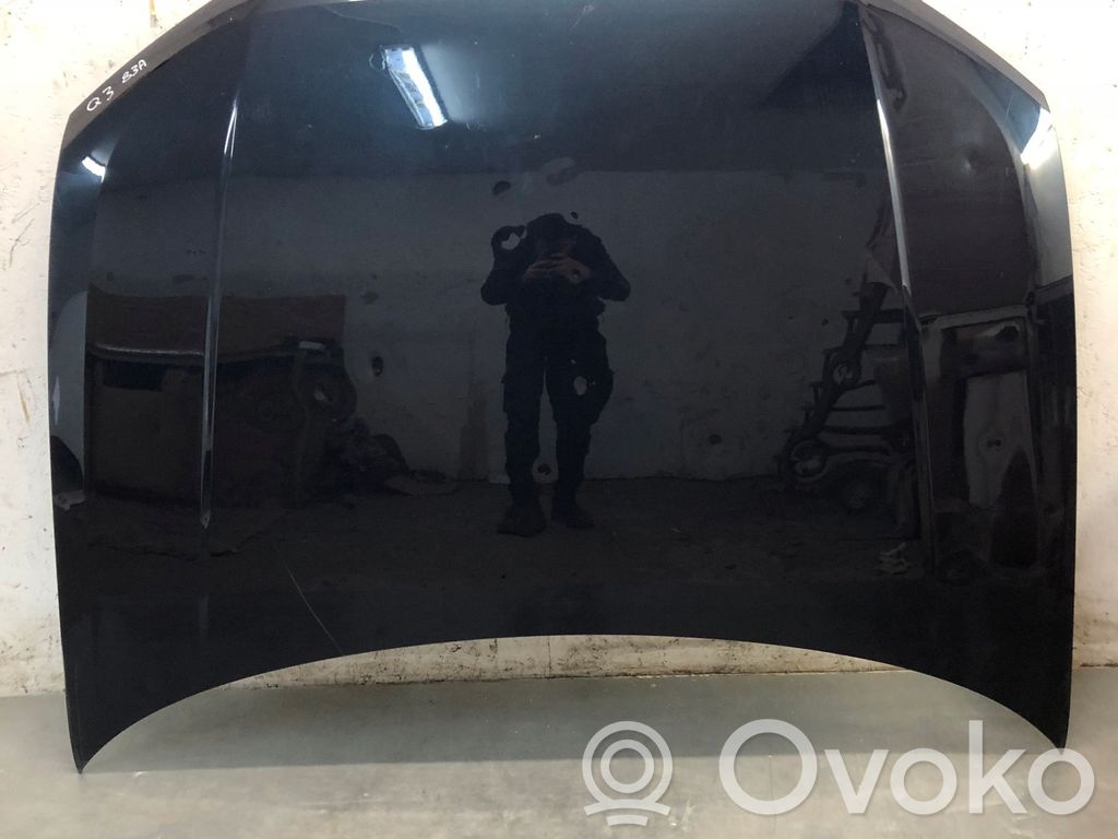 Audi Q3 F3 Dangtis variklio (kapotas) 