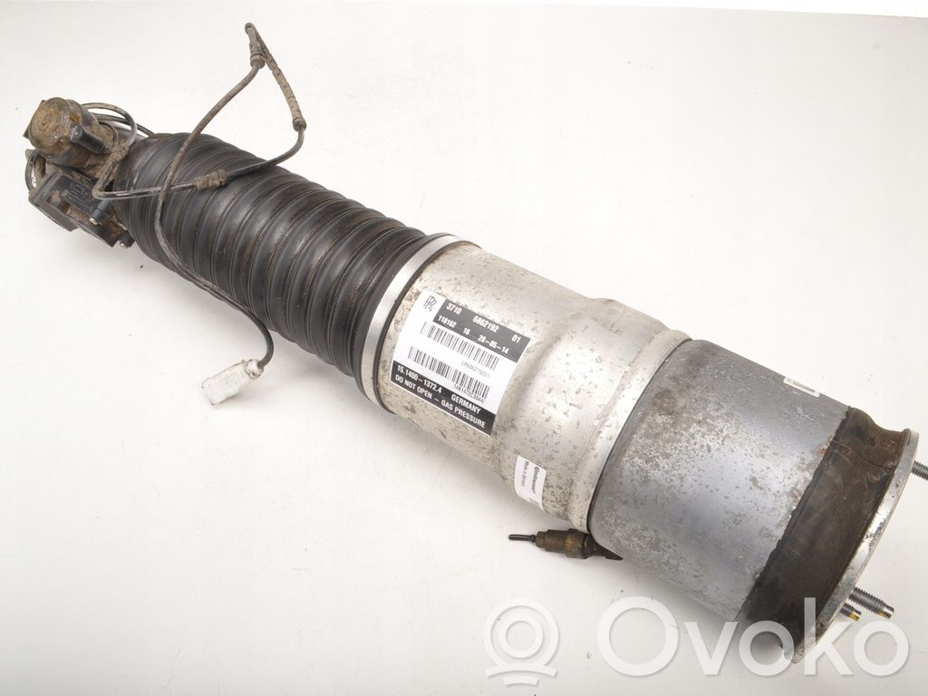 Stoßdämpfer hinten   6862192