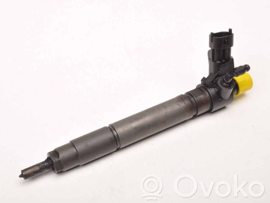 Land Rover Range Rover Evoque L538 Fuel injector 
