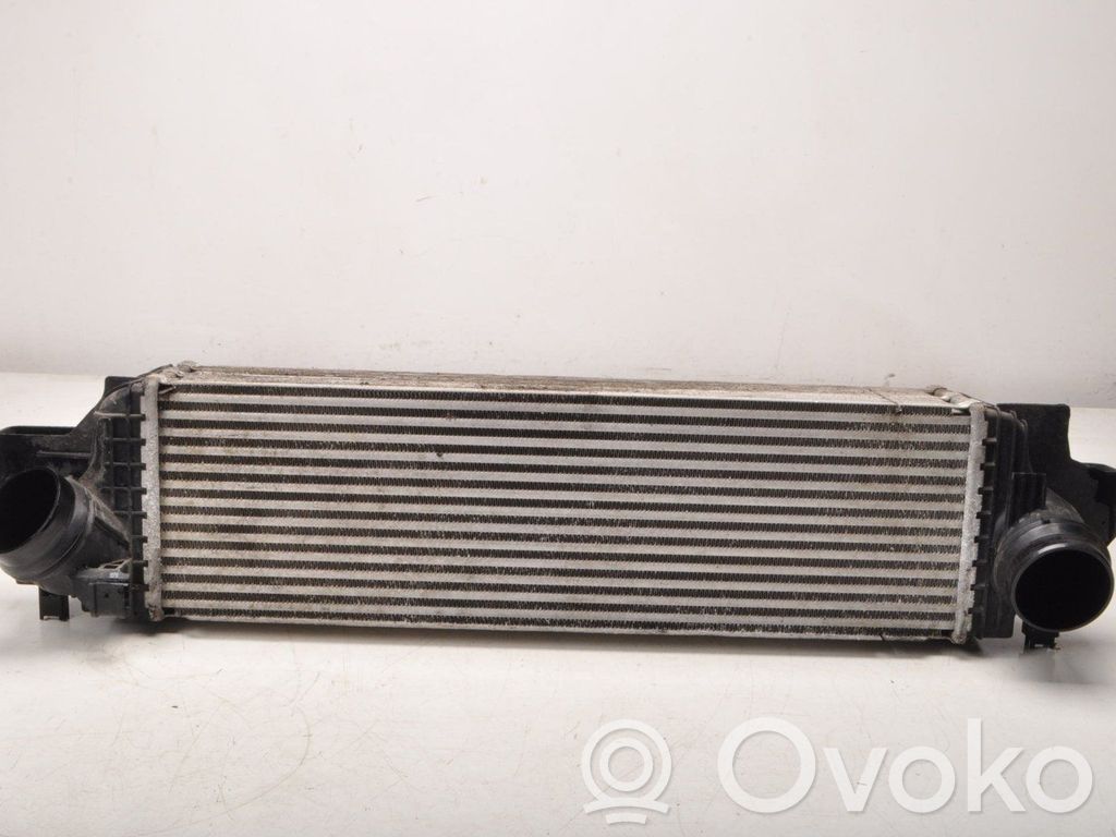BMW 1 F40 Interkūlerio radiatorius 