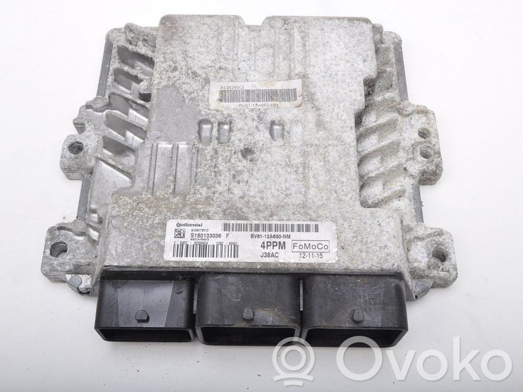 Ford Focus Engine control unit/module ECU 
