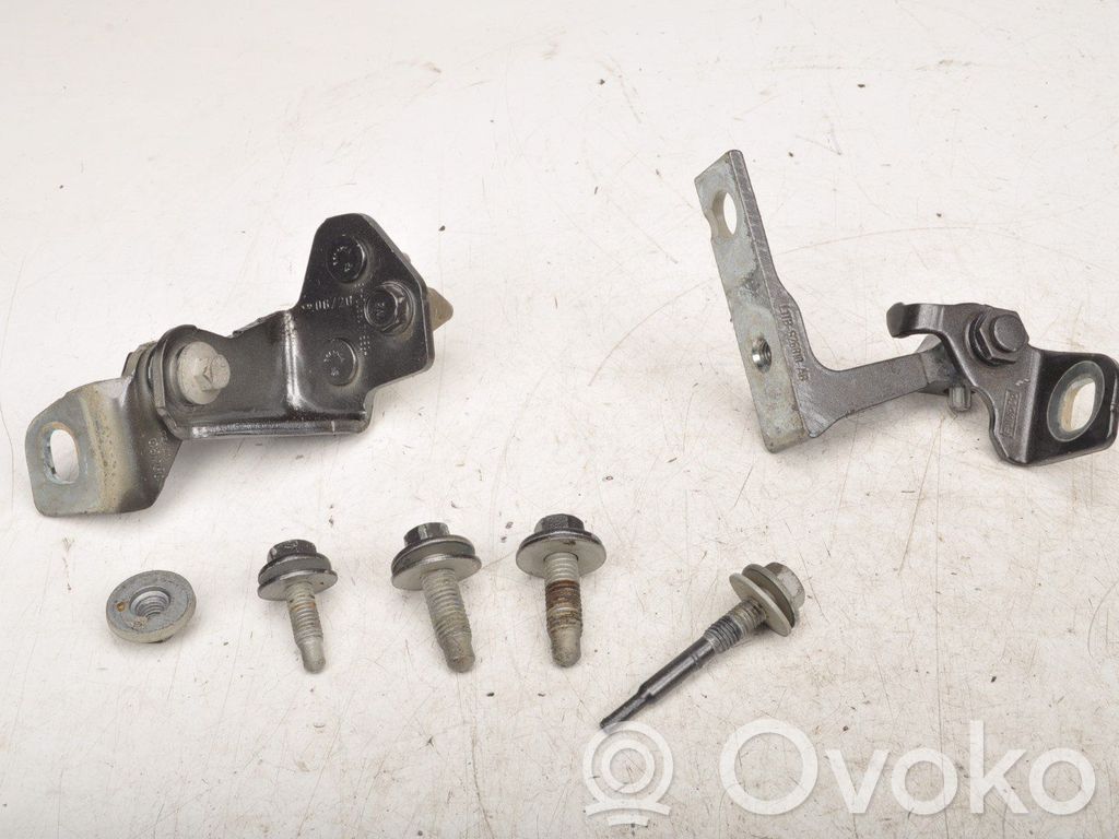 Ford Puma Rear door hinge set 