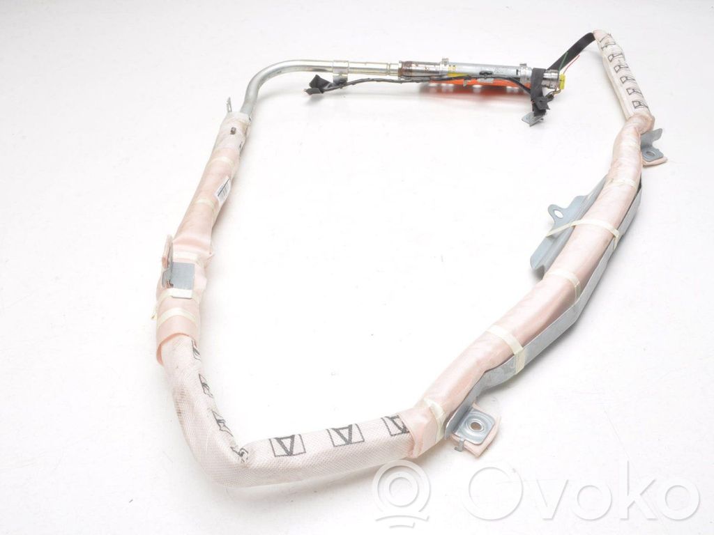 Airbag del techo   305645020