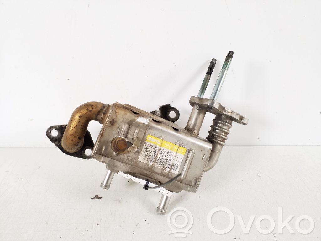 Toyota Urban Cruiser (XP110) Chłodnica spalin EGR 