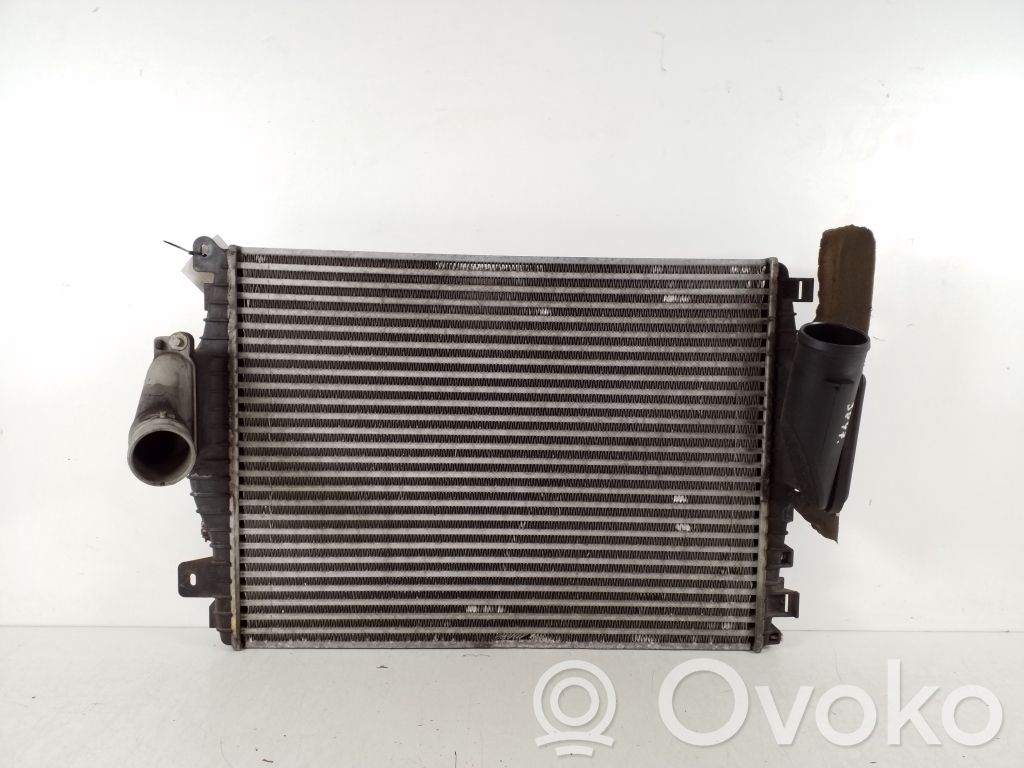 Jaguar XF X250 Coolant radiator 