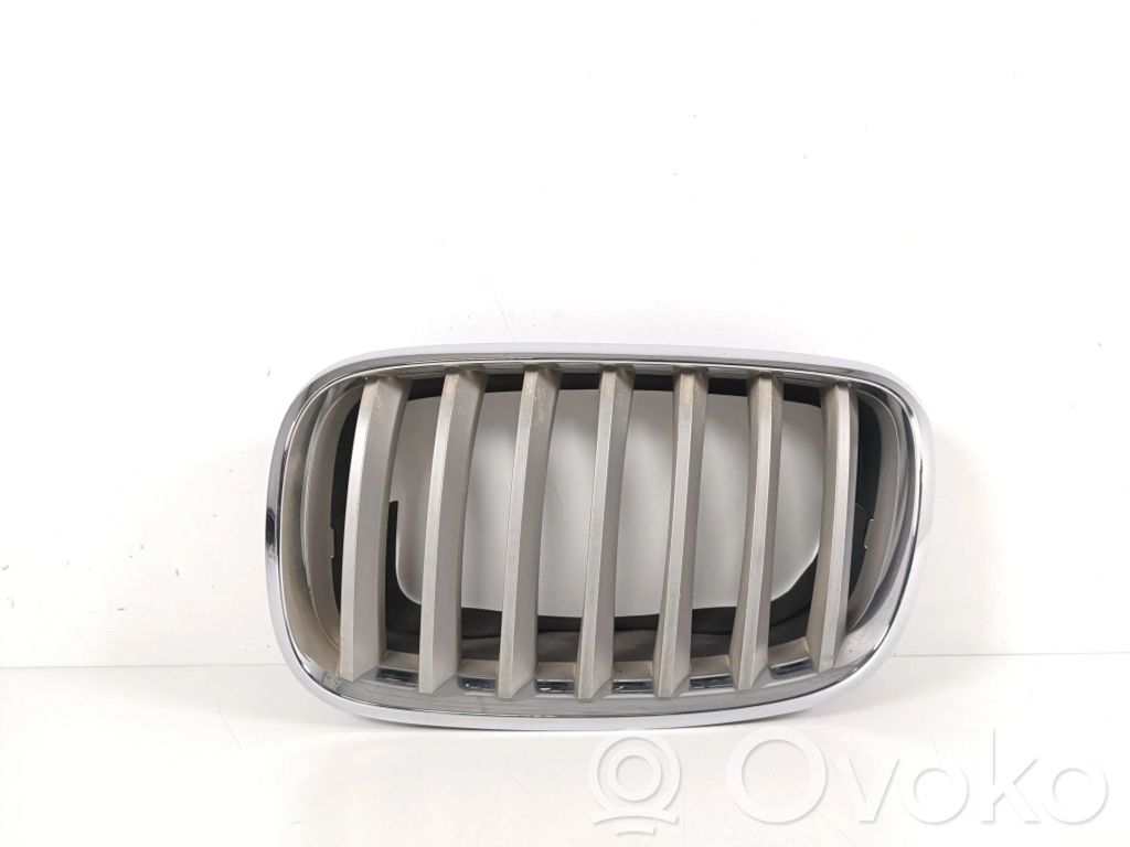 BMW X5 E70 Front grill 