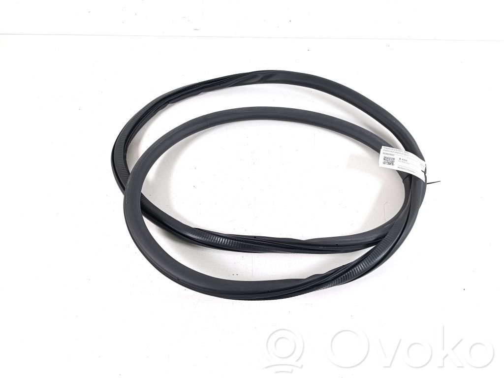 Citroen C5 X Gumowa uszczelka drzwi przednich 