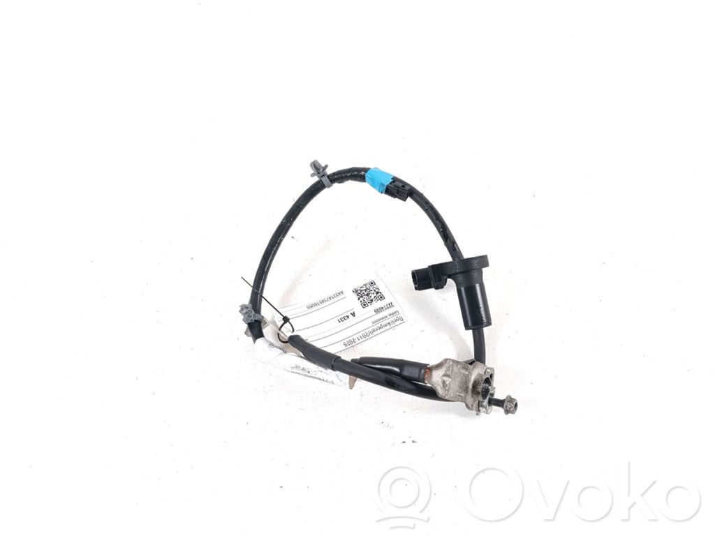 Opel Ampera Cavo negativo messa a terra (batteria) 