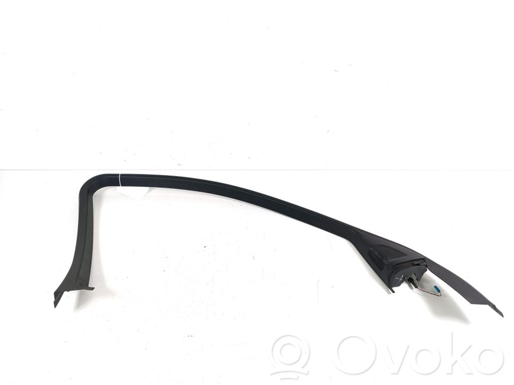 BMW X6 E71 Otros elementos de revestimiento de la puerta delantera 
