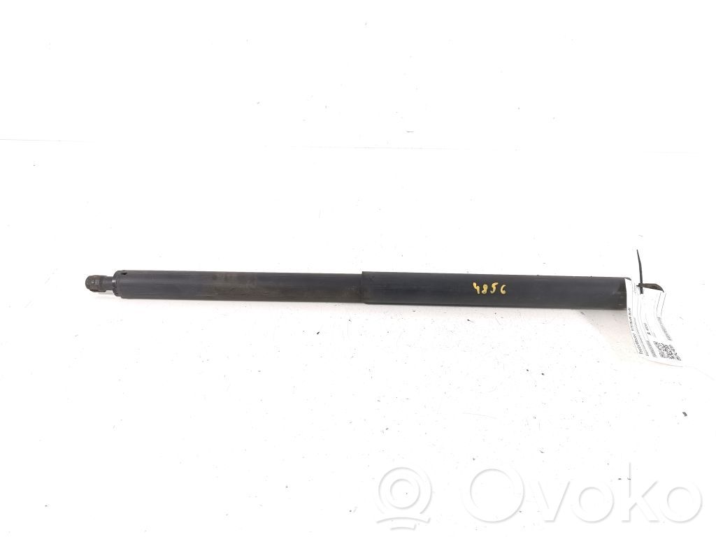 Tailgate strut   150060200A