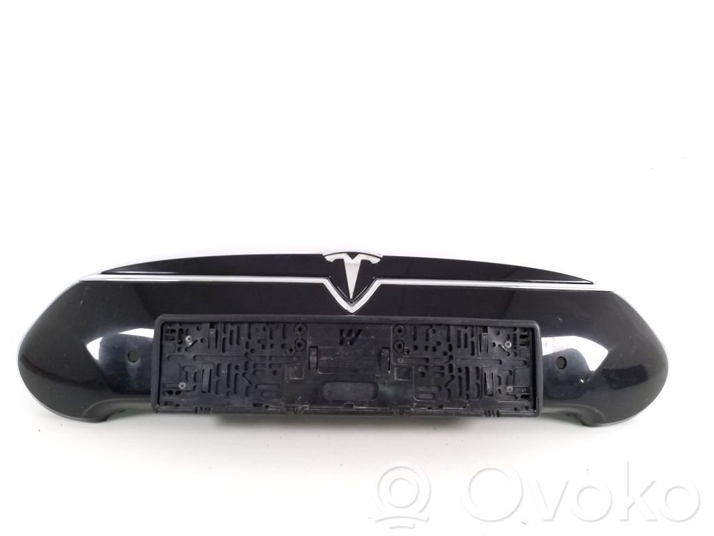 Front grill   102331200A