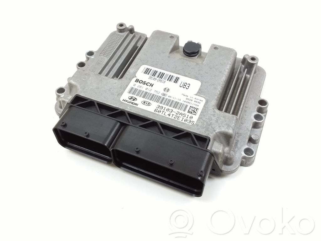 Hyundai Getz Engine control unit/module 