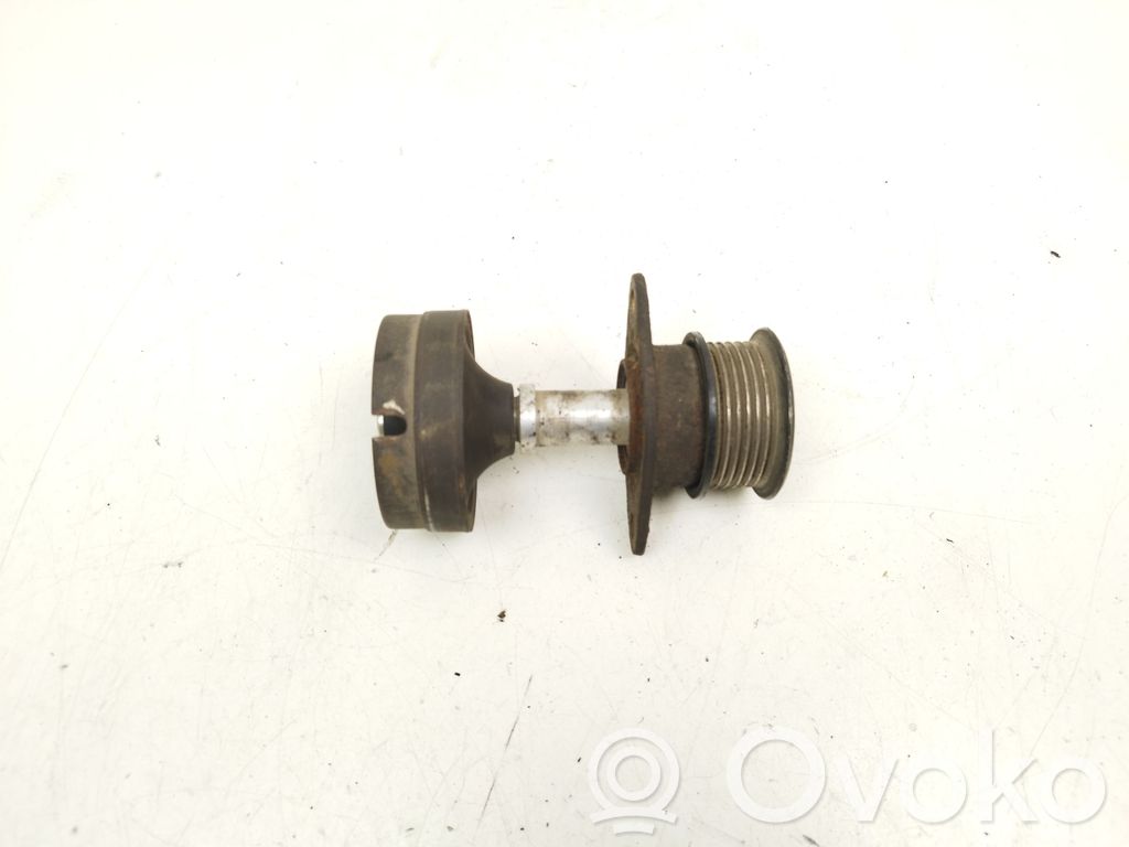 Ford Focus Alternator pulley 