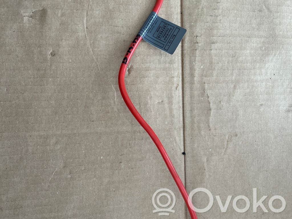 Positive cable (battery)   6938504,EG540V,15974510