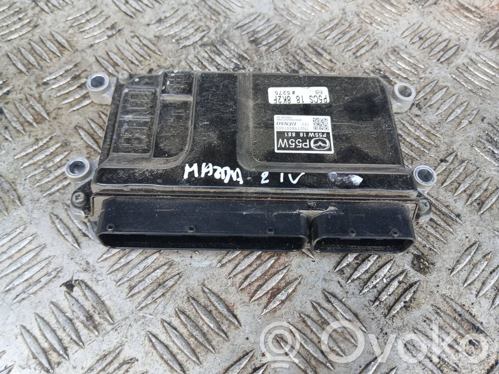 Engine control unit/module   P55W18881