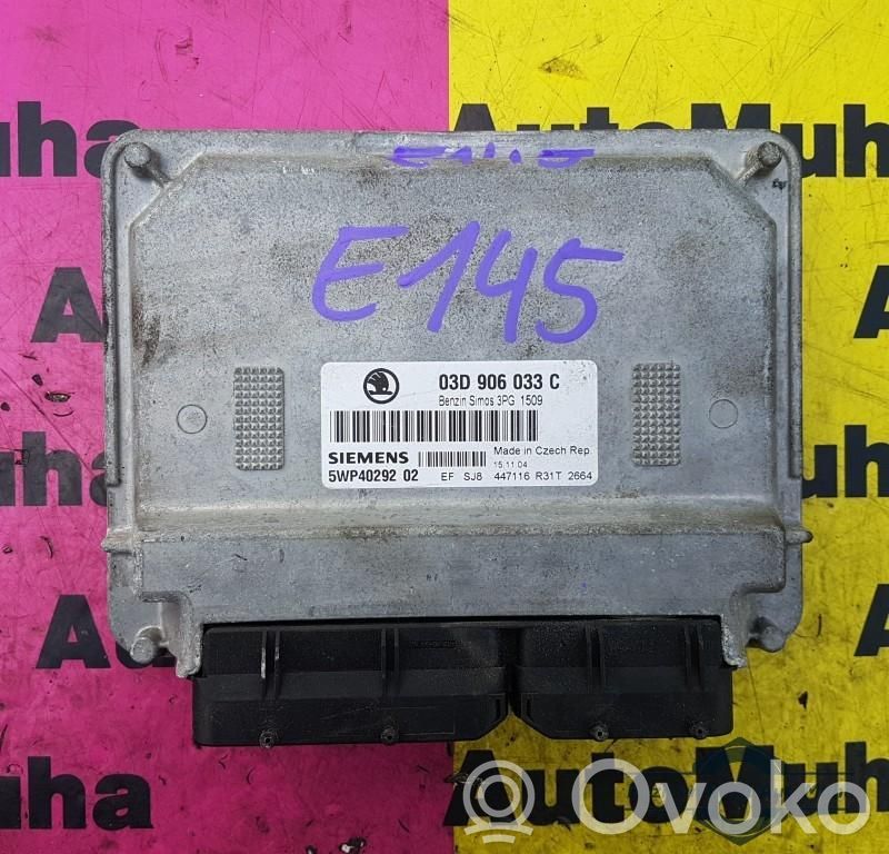 Seat Ibiza III (6L) Engine control unit/module ECU 