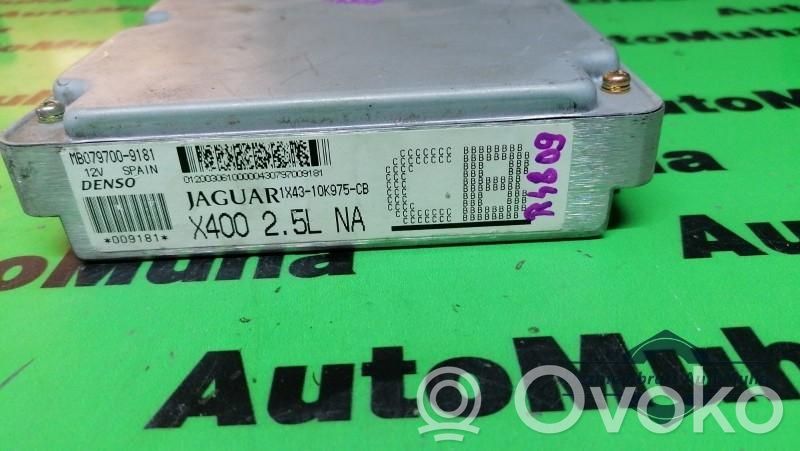 Jaguar X-Type Engine control unit/module ECU 