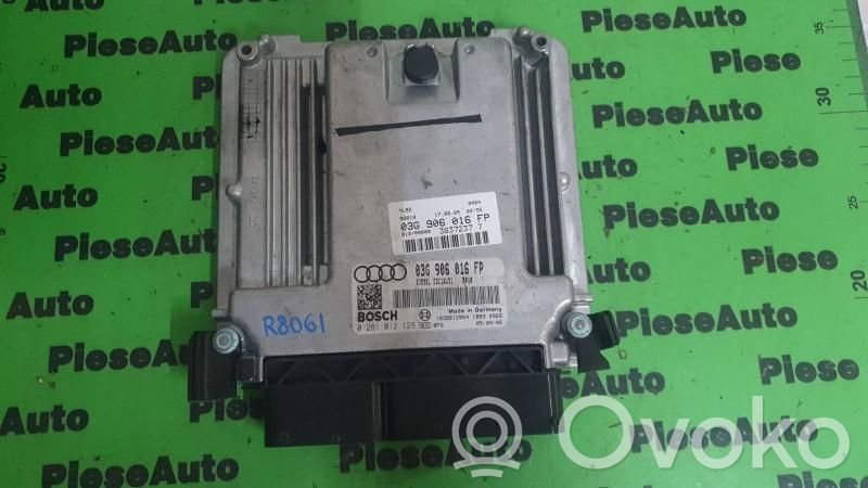 Engine control unit/module ECU   0281012128,03G906016FP