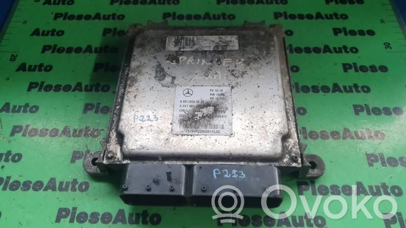 Engine control unit/module ECU   A6519003203,A6519012902,CRD320