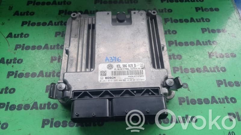 Engine control unit/module ECU   0281016366,03L906019B